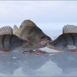 Ловля рыбы в регионах Украины и России