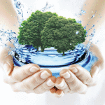 Регулярная доставка чистой полезной воды — залог вашего здоровья