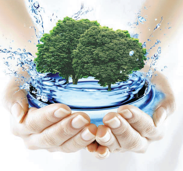 Регулярная доставка чистой полезной воды — залог вашего здоровья